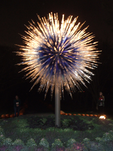 Chihuly 2012 (14).JPG